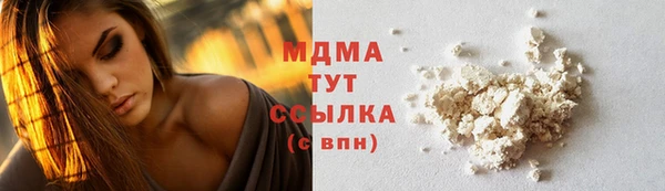 индика Алексин